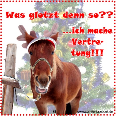 - Bild-Sprüche-Weihnachten